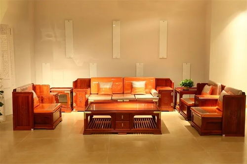 疫情期間家居最全消毒養(yǎng)護(hù)指南 守護(hù)健康，從細(xì)節(jié)做起